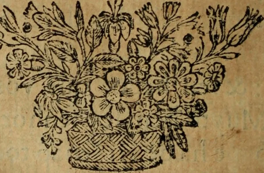 An illustration from Comedia Aulegrafia, 1619, leaf 319