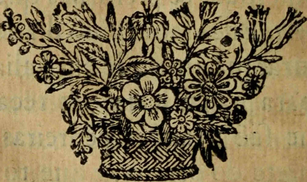 An illustration from Comedia Aulegrafia, 1619, leaf 323