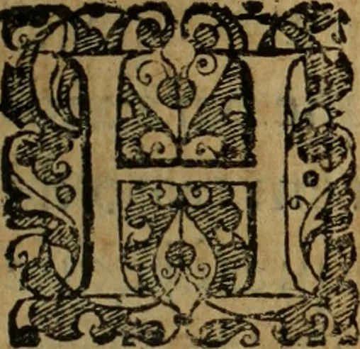 An illustration from Comedia Aulegrafia, 1619, leaf 324