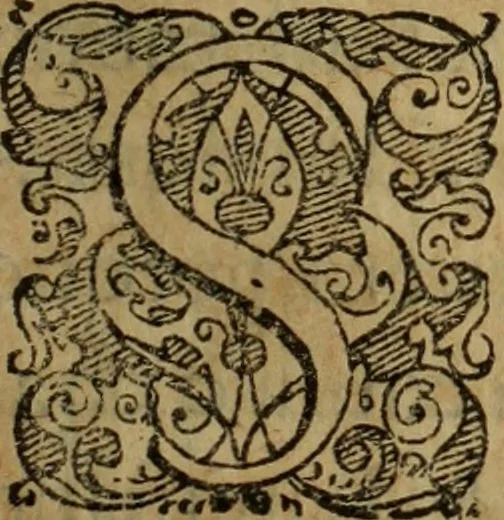An illustration from Comedia Aulegrafia, 1619, leaf 326