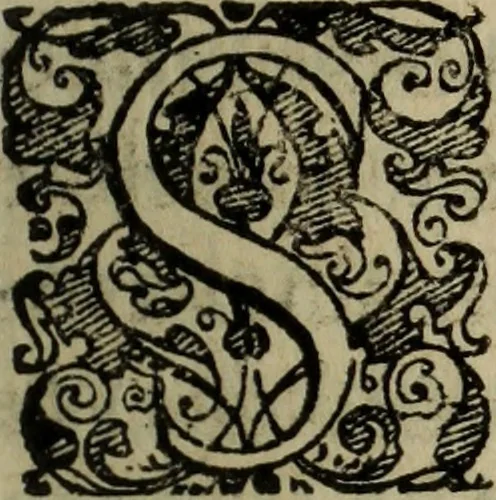An illustration from Comedia Aulegrafia, 1619, leaf 34