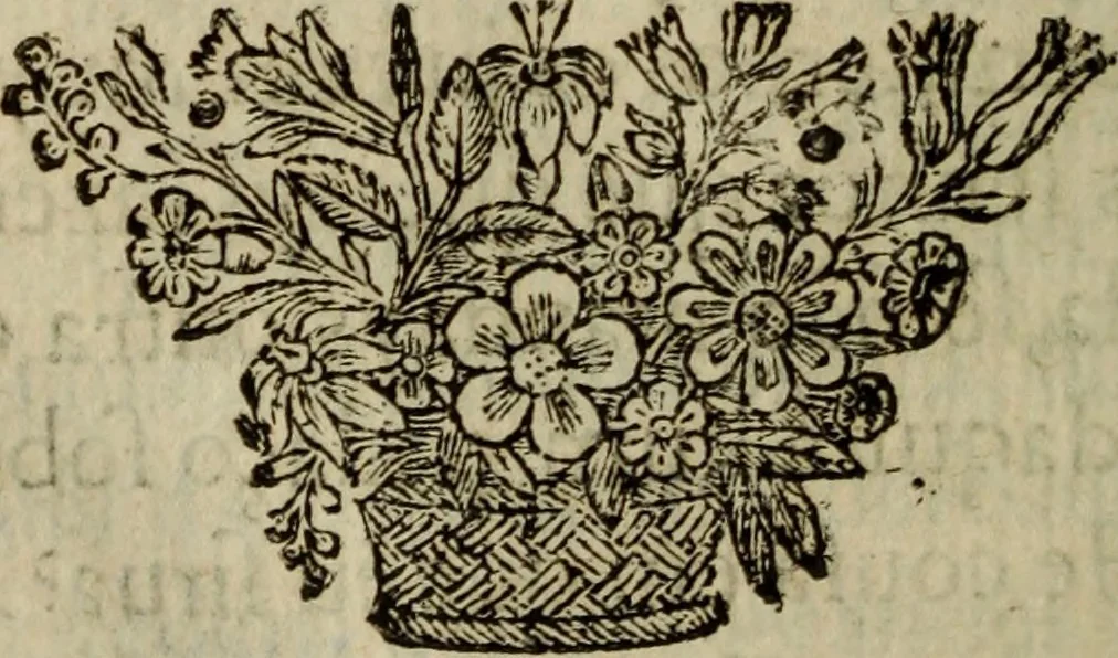 An illustration from Comedia Aulegrafia, 1619, leaf 353