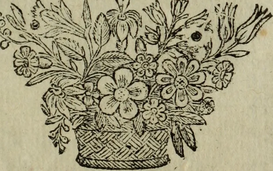 An illustration from Comedia Aulegrafia, 1619, leaf 386