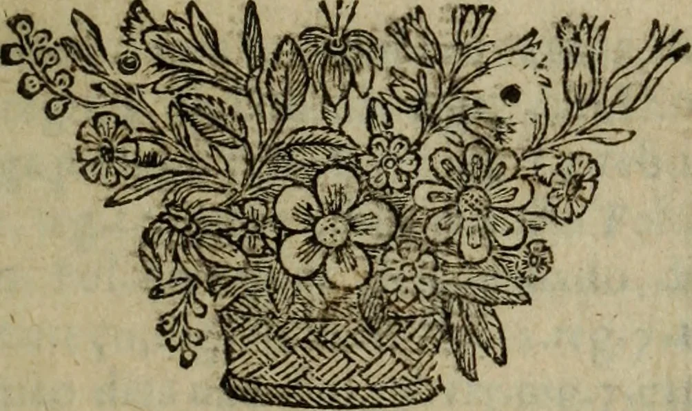 An illustration from Comedia Aulegrafia, 1619, leaf 4