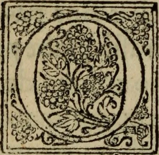 An illustration from Comedia Aulegrafia, 1619, leaf 45