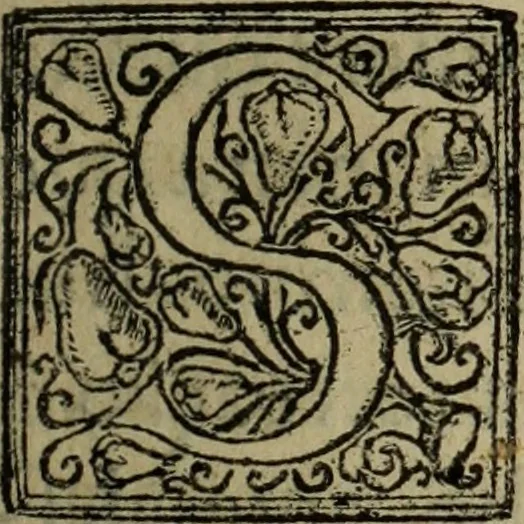 An illustration from Comedia Aulegrafia, 1619, leaf 58