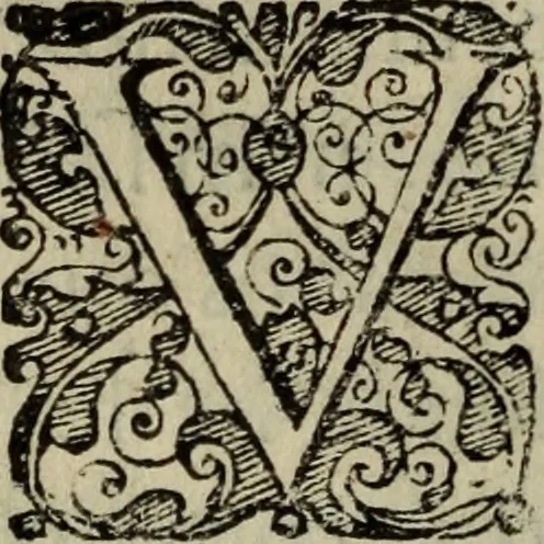An illustration from Comedia Aulegrafia, 1619, leaf 75