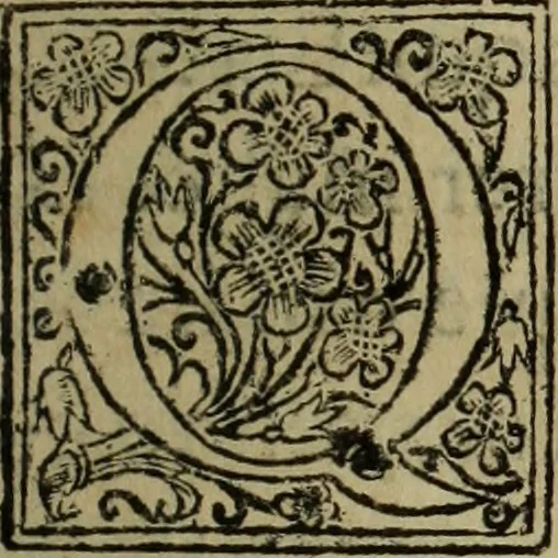 An illustration from Comedia Aulegrafia, 1619, leaf 86