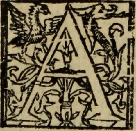 An illustration from Comedia Aulegrafia, 1619, leaf 91
