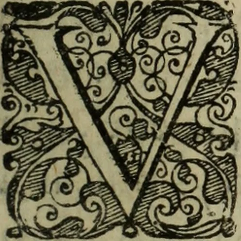 An illustration from Comedia Aulegrafia, 1619, leaf 98