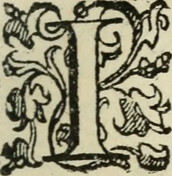 An illustration from Comedie di M. Gianmaria Cecchi, Fiorentino : Libro primo. Nel quale si contengono, La dote; La moglie; Il corredo; La stiaua; Il donzello; Gl'incantesimi; Lo spirito .., 1585, leaf 14