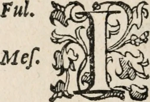An illustration from Comedie di M. Gianmaria Cecchi, Fiorentino : Libro primo. Nel quale si contengono, La dote; La moglie; Il corredo; La stiaua; Il donzello; Gl'incantesimi; Lo spirito .., 1585, leaf 155