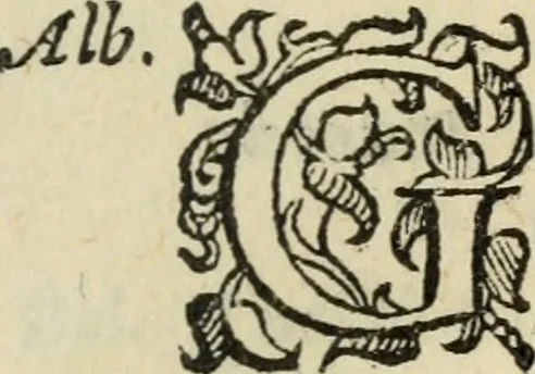An illustration from Comedie di M. Gianmaria Cecchi, Fiorentino : Libro primo. Nel quale si contengono, La dote; La moglie; Il corredo; La stiaua; Il donzello; Gl'incantesimi; Lo spirito .., 1585, leaf 238