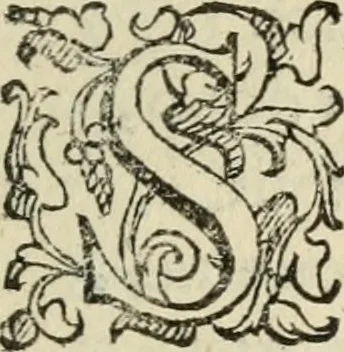 An illustration from Comedie di M. Gianmaria Cecchi, Fiorentino : Libro primo. Nel quale si contengono, La dote; La moglie; Il corredo; La stiaua; Il donzello; Gl'incantesimi; Lo spirito .., 1585, leaf 260