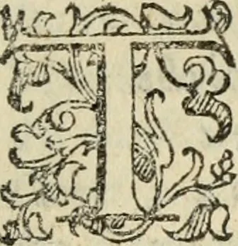 An illustration from Comedie di M. Gianmaria Cecchi, Fiorentino : Libro primo. Nel quale si contengono, La dote; La moglie; Il corredo; La stiaua; Il donzello; Gl'incantesimi; Lo spirito .., 1585, leaf 262