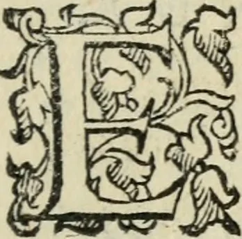 An illustration from Comedie di M. Gianmaria Cecchi, Fiorentino : Libro primo. Nel quale si contengono, La dote; La moglie; Il corredo; La stiaua; Il donzello; Gl'incantesimi; Lo spirito .., 1585, leaf 272