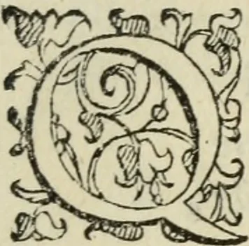 An illustration from Comedie di M. Gianmaria Cecchi, Fiorentino : Libro primo. Nel quale si contengono, La dote; La moglie; Il corredo; La stiaua; Il donzello; Gl'incantesimi; Lo spirito .., 1585, leaf 28