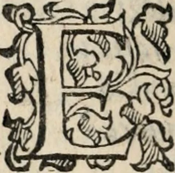 An illustration from Comedie di M. Gianmaria Cecchi, Fiorentino : Libro primo. Nel quale si contengono, La dote; La moglie; Il corredo; La stiaua; Il donzello; Gl'incantesimi; Lo spirito .., 1585, leaf 299