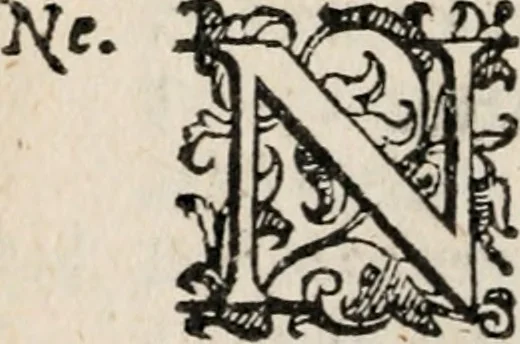 An illustration from Comedie di M. Gianmaria Cecchi, Fiorentino : Libro primo. Nel quale si contengono, La dote; La moglie; Il corredo; La stiaua; Il donzello; Gl'incantesimi; Lo spirito .., 1585, leaf 343