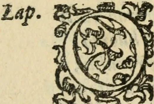 An illustration from Comedie di M. Gianmaria Cecchi, Fiorentino : Libro primo. Nel quale si contengono, La dote; La moglie; Il corredo; La stiaua; Il donzello; Gl'incantesimi; Lo spirito .., 1585, leaf 358