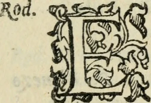An illustration from Comedie di M. Gianmaria Cecchi, Fiorentino : Libro primo. Nel quale si contengono, La dote; La moglie; Il corredo; La stiaua; Il donzello; Gl'incantesimi; Lo spirito .., 1585, leaf 374
