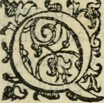 An illustration from Comedie di M. Gianmaria Cecchi, Fiorentino : Libro primo. Nel quale si contengono, La dote; La moglie; Il corredo; La stiaua; Il donzello; Gl'incantesimi; Lo spirito .., 1585, leaf 412