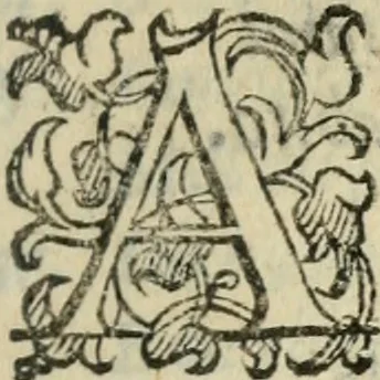 An illustration from Comedie di M. Gianmaria Cecchi, Fiorentino : Libro primo. Nel quale si contengono, La dote; La moglie; Il corredo; La stiaua; Il donzello; Gl'incantesimi; Lo spirito .., 1585, leaf 460