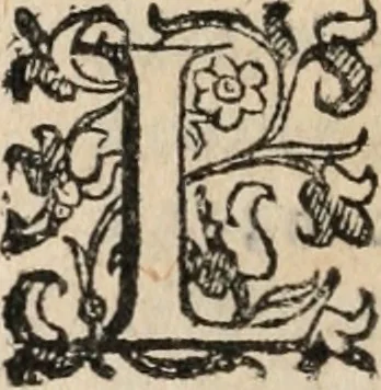 An illustration from Comedie di M. Gianmaria Cecchi, Fiorentino : Libro primo. Nel quale si contengono, La dote; La moglie; Il corredo; La stiaua; Il donzello; Gl'incantesimi; Lo spirito .., 1585, leaf 477