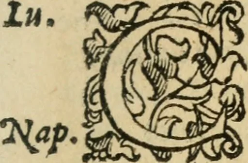 An illustration from Comedie di M. Gianmaria Cecchi, Fiorentino : Libro primo. Nel quale si contengono, La dote; La moglie; Il corredo; La stiaua; Il donzello; Gl'incantesimi; Lo spirito .., 1585, leaf 480