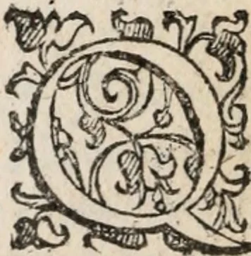 An illustration from Comedie di M. Gianmaria Cecchi, Fiorentino : Libro primo. Nel quale si contengono, La dote; La moglie; Il corredo; La stiaua; Il donzello; Gl'incantesimi; Lo spirito .., 1585, leaf 529