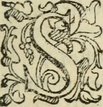 An illustration from Comedie di M. Gianmaria Cecchi, Fiorentino : Libro primo. Nel quale si contengono, La dote; La moglie; Il corredo; La stiaua; Il donzello; Gl'incantesimi; Lo spirito .., 1585, leaf 96