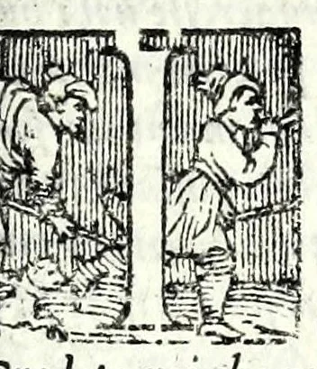 An illustration from Comedie di m. Girolamo Parabosco .., 1560, leaf 11
