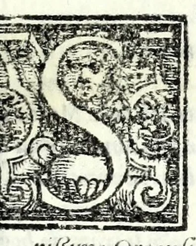 An illustration from Comedie di m. Girolamo Parabosco .., 1560, leaf 129