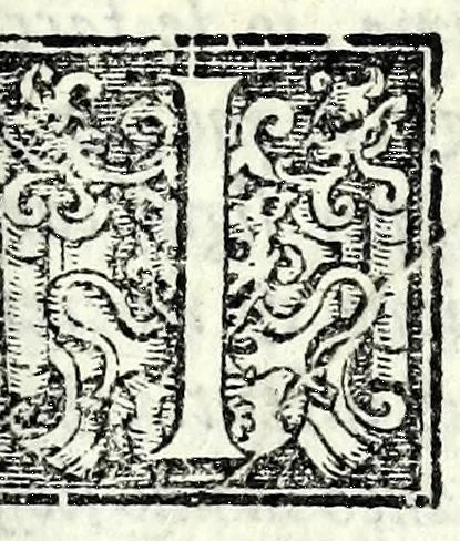 An illustration from Comedie di m. Girolamo Parabosco .., 1560, leaf 247