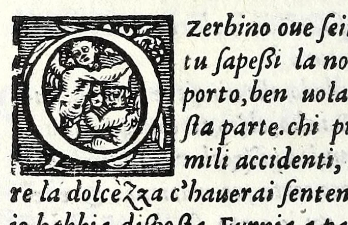 An illustration from Comedie di m. Girolamo Parabosco .., 1560, leaf 406