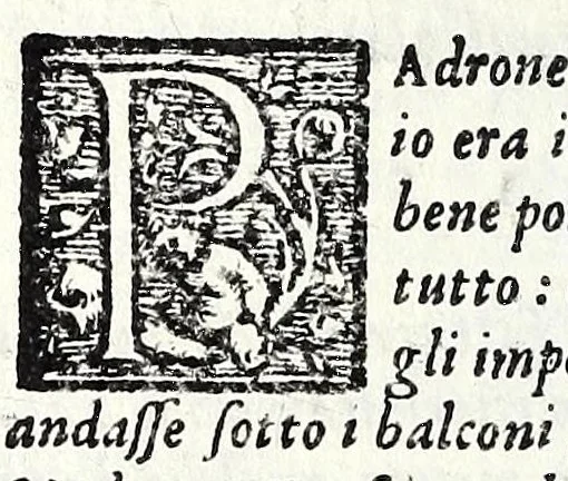 An illustration from Comedie di m. Girolamo Parabosco .., 1560, leaf 500