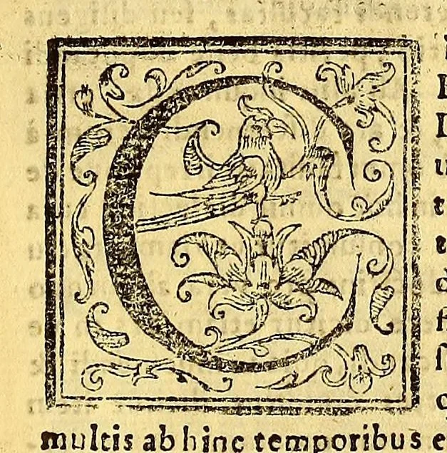 An illustration from Comentarii ac quaestiones in vniuersam Aristotelis ac subtilissimi doctoris Ihoannis Duns Scoti logicam. : Totum hoc opus in duas partes distributum offertur: prima continet breue quoddam Logicae compendium quod vulgo solet Summa seu Summulae Dialecticae nuncupati quaestiones prolegomenales, praedicabilia Porphirij, & Aristotelis Antipraedicamenta, Praedicamenta & post praedicamebta [sic]. : Secunda pars libros Perihermeniarum seu de interpretatione, libros priorum, posteriorum, Topicorum & Elenchorum comprehendit. Auctore R.P.F. Hyeronimo Valera Peruano Ordinis Minorum Regularis obseruantiae, Pruouinciae duodecim Apostolorum, sacre theologiae lectore iubilato & in celeberrimo Limensi Conuentis S. Francisci Guardiano, 1610, leaf 17