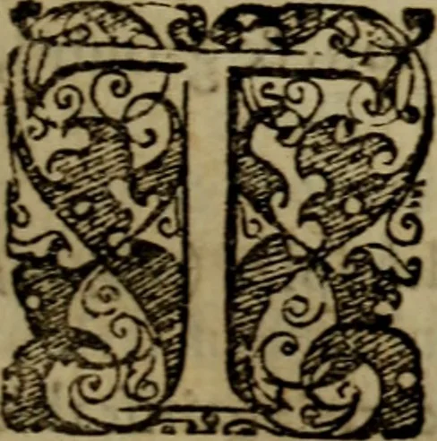 An illustration from Comfort for believers about their sinnes & troubles : in a treatise shewing that true beleevers, how weake soever in faith, should not be opprest, or perplext in heart .., 1645, leaf 8