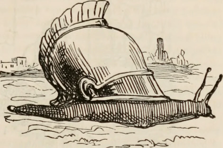 An illustration from The comic history of Rome, 1850, leaf 210