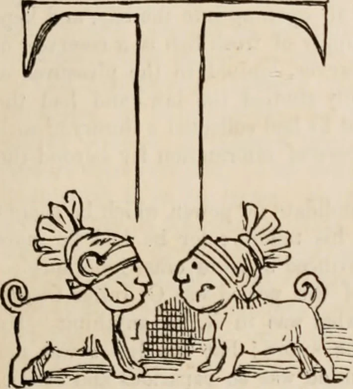 An illustration from The comic history of Rome, 1850, leaf 312