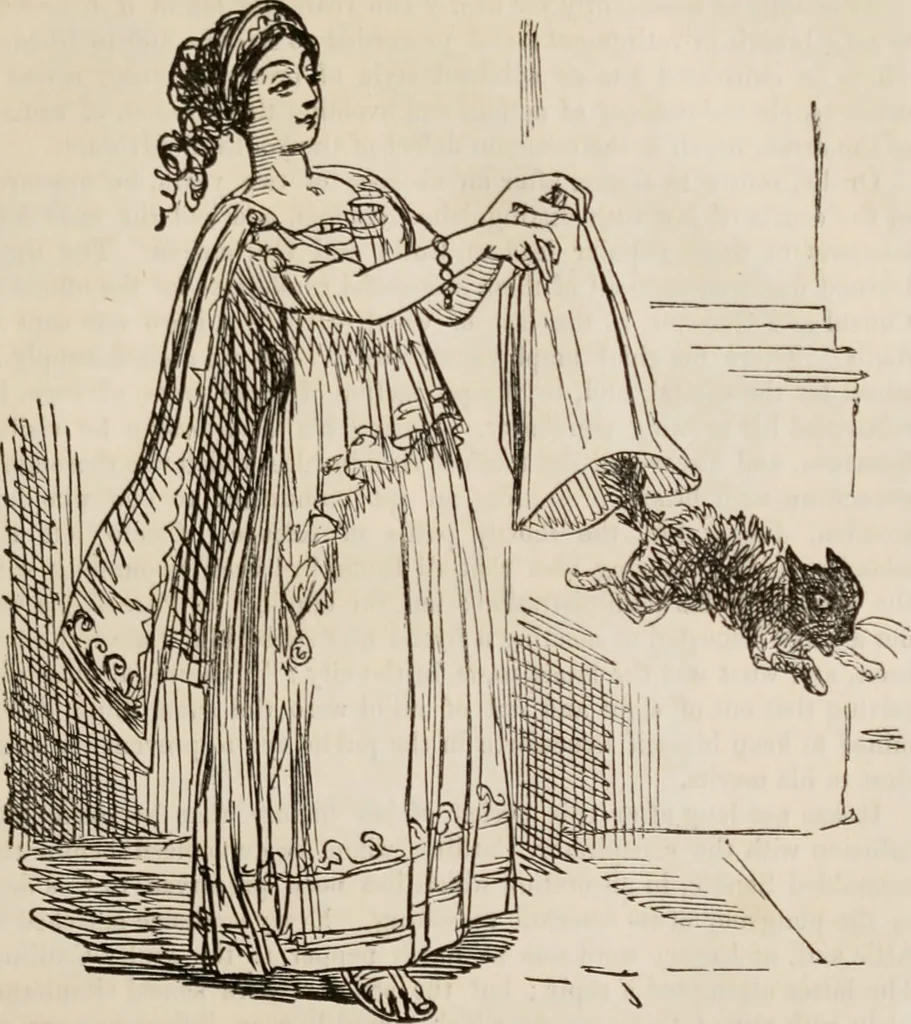 An illustration from The comic history of Rome, 1850, leaf 328