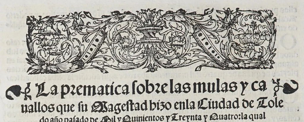 An illustration from Comiençan las cortes que Su Magestad del emperador y rey nuestro señor tuuo en la villa de Madrid: : con las leyes, y prematicas que en ella hizo, y ordeno. Juntamente con la prematica de las mulas, hecha en la ciudad de Toledo: y la declaracion despues hecha en las cortes de Madrid el año passado de mil y quinientos y treynta y quatro., 1535, leaf 40