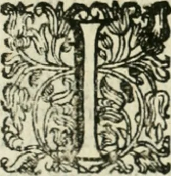 An illustration from Cominciamento e progresso dell' arte dell' intagliare in rame : colle vite di molti de' più eccellenti maestri della stessa professione, 1686, leaf 106