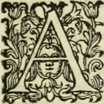 An illustration from Cominciamento e progresso dell' arte dell' intagliare in rame : colle vite di molti de' più eccellenti maestri della stessa professione, 1686, leaf 40