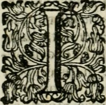 An illustration from Cominciamento e progresso dell' arte dell' intagliare in rame : colle vite di molti de' più eccellenti maestri della stessa professione, 1686, leaf 51