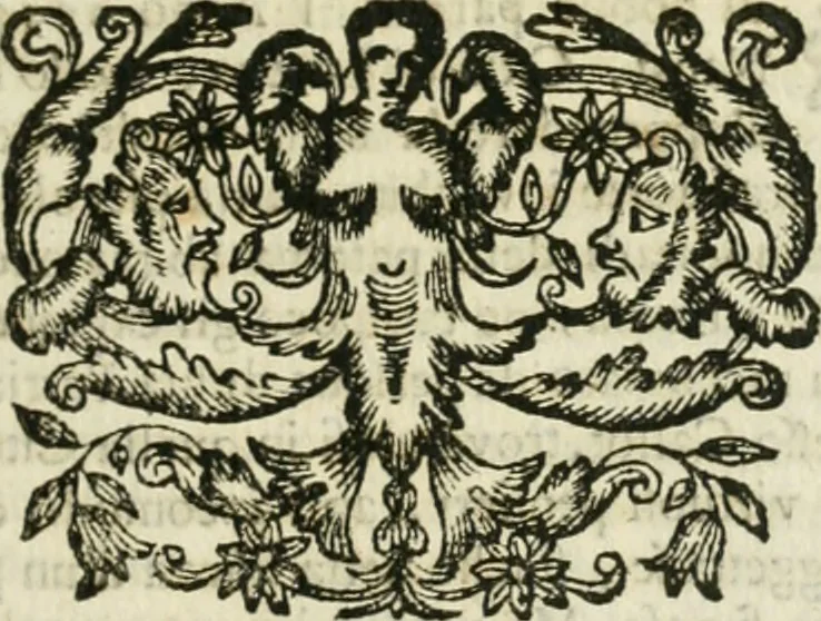 An illustration from Cominciamento e progresso dell' arte dell' intagliare in rame : colle vite di molti de' più eccellenti maestri della stessa professione, 1686, leaf 64