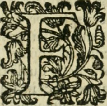 An illustration from Cominciamento e progresso dell' arte dell' intagliare in rame : colle vite di molti de' più eccellenti maestri della stessa professione, 1686, leaf 82