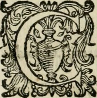 An illustration from Cominciamento e progresso dell' arte dell' intagliare in rame : colle vite di molti de' più eccellenti maestri della stessa professione, 1686, leaf 95