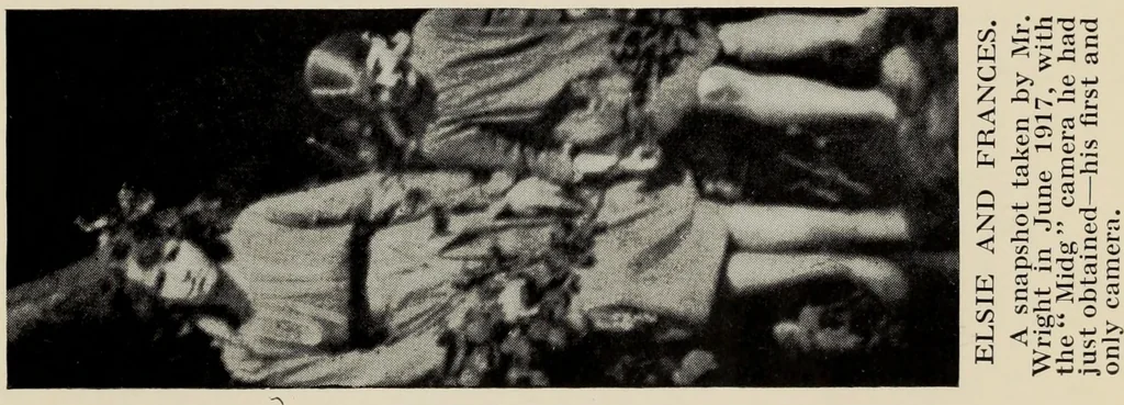 An illustration from The coming of the fairies, 1922, leaf 54