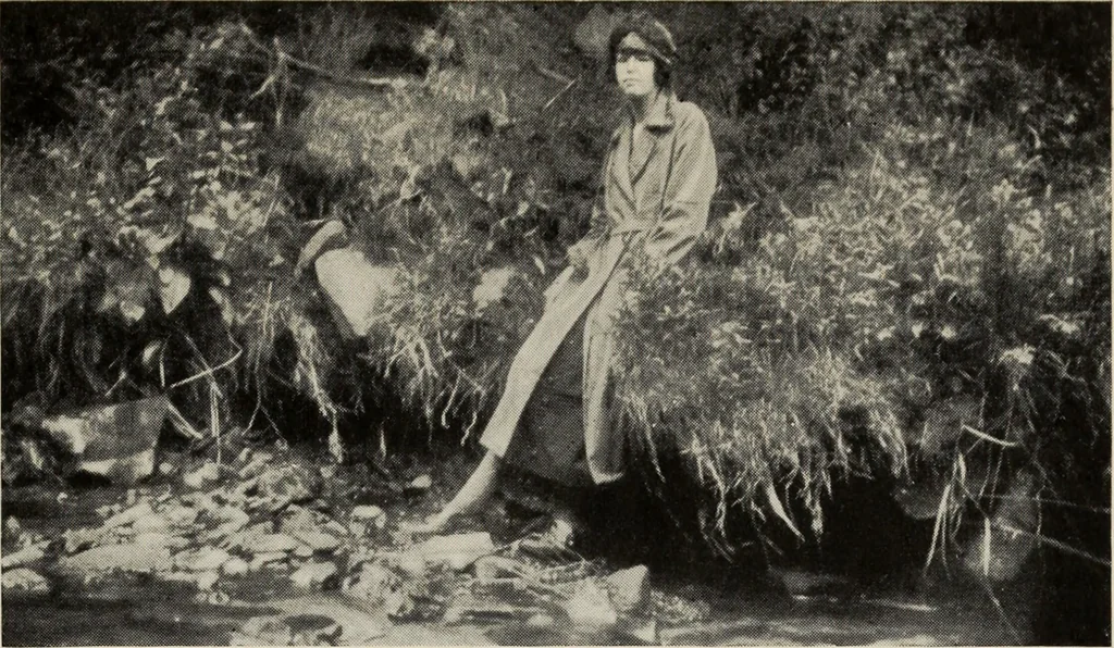 An illustration from The coming of the fairies, 1922, leaf 78